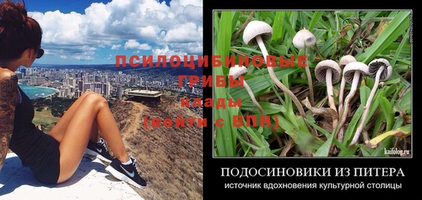 jwh Магас